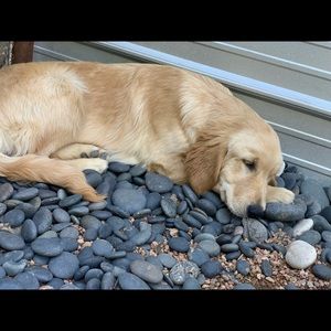 Meet your Posher, Tarra